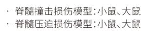 图片21.jpg