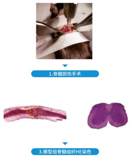 图片22.jpg