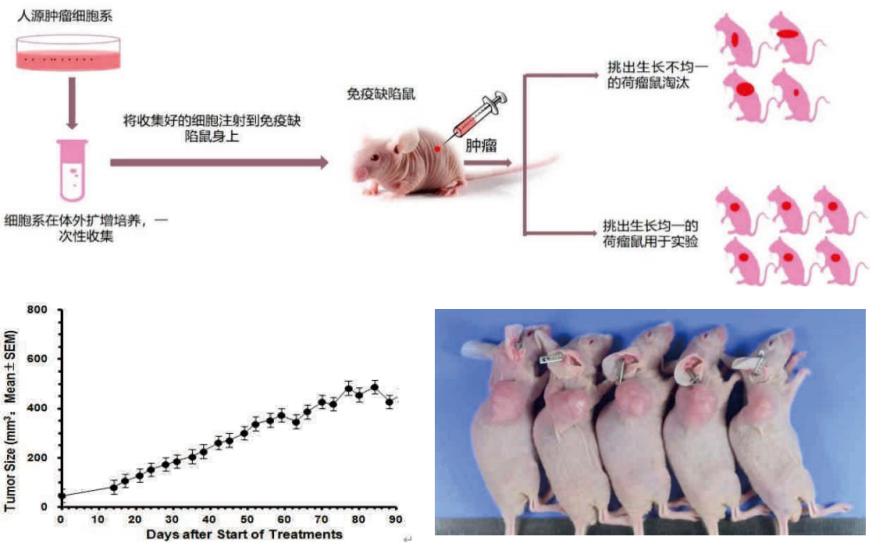 图片28.jpg