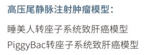 图片26.jpg