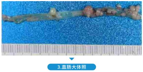 图片37.jpg