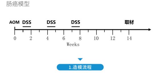 图片36.jpg