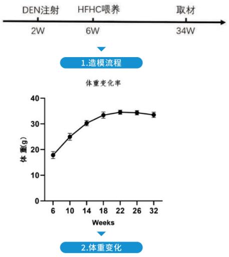 图片34.jpg