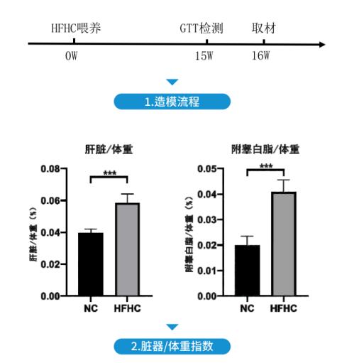 图片11.jpg