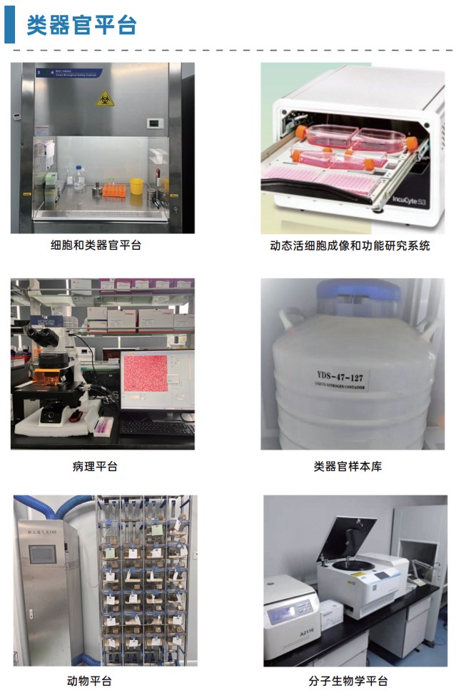 图片9.jpg