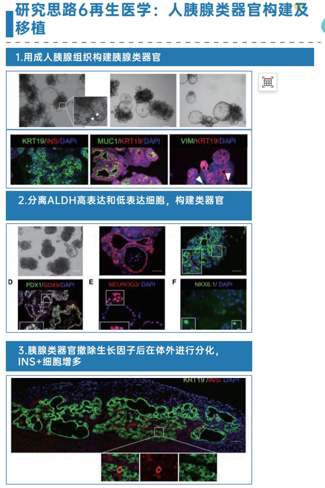 图片8.jpg