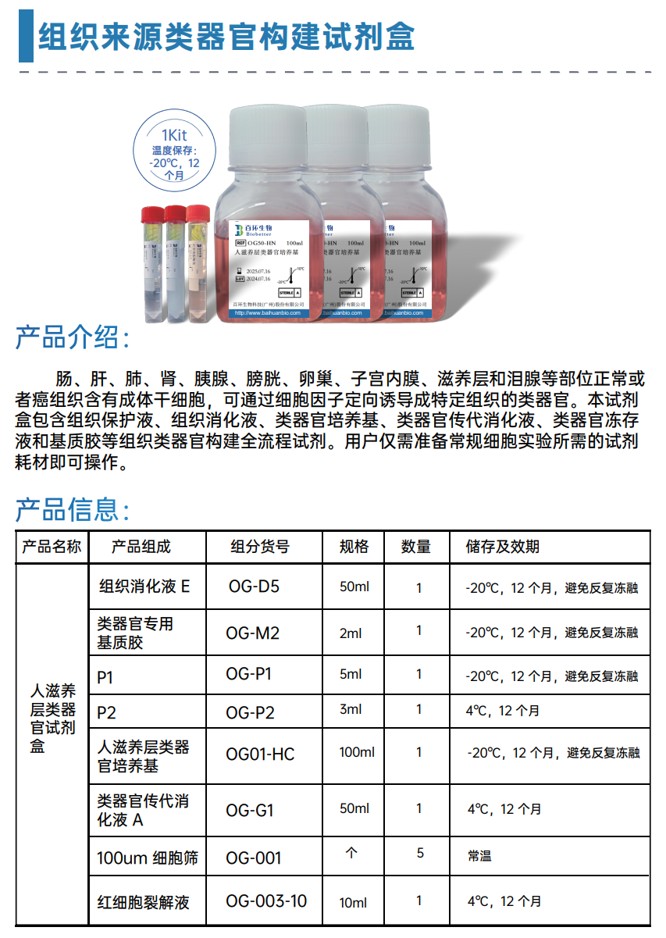 图片10.jpg
