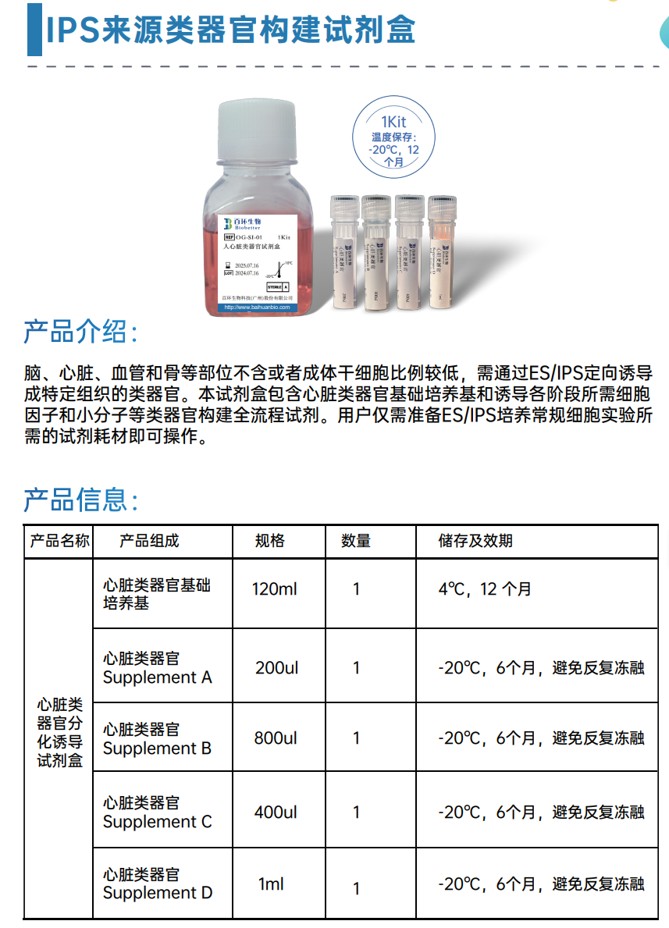 图片11.jpg