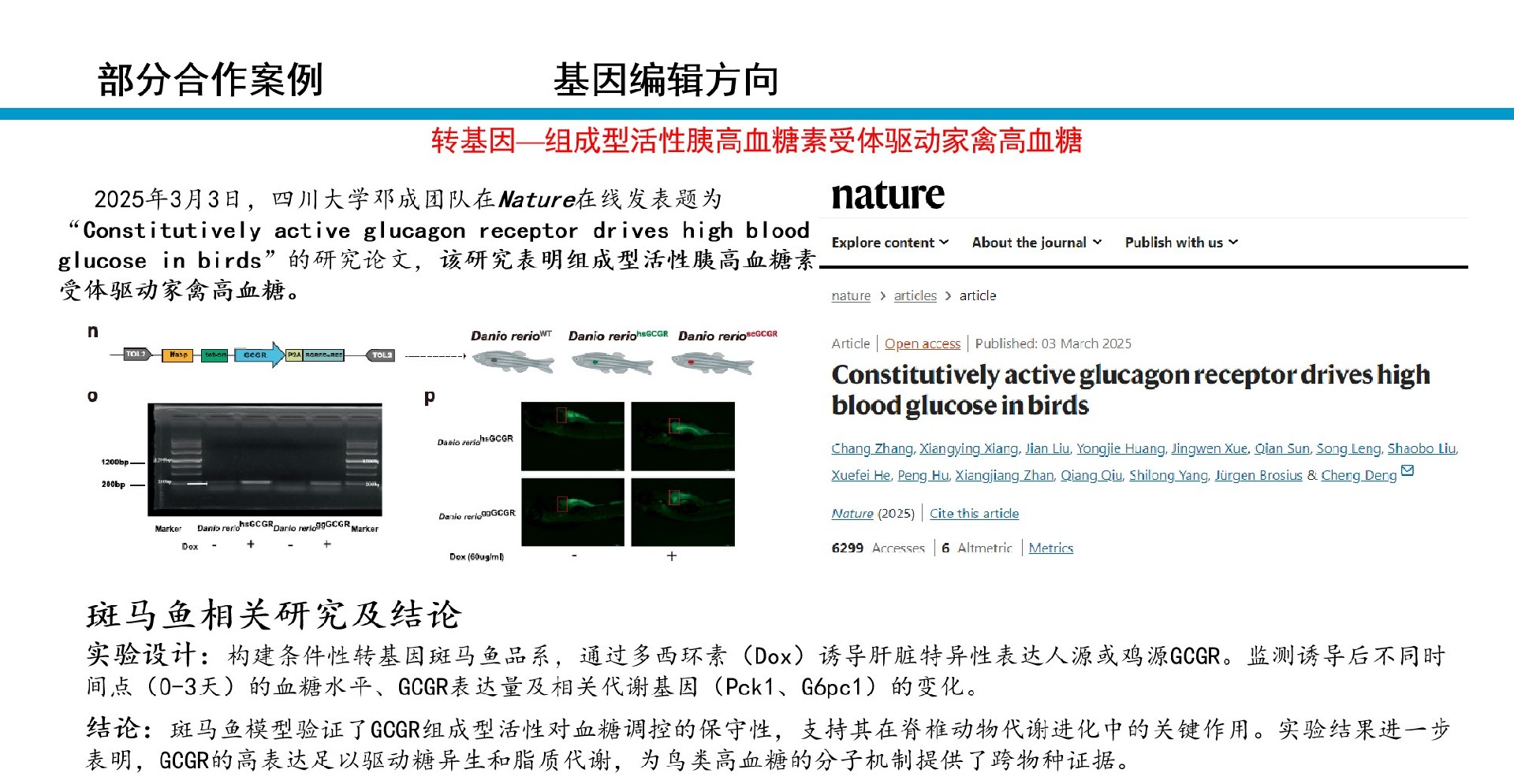 图片30.jpg