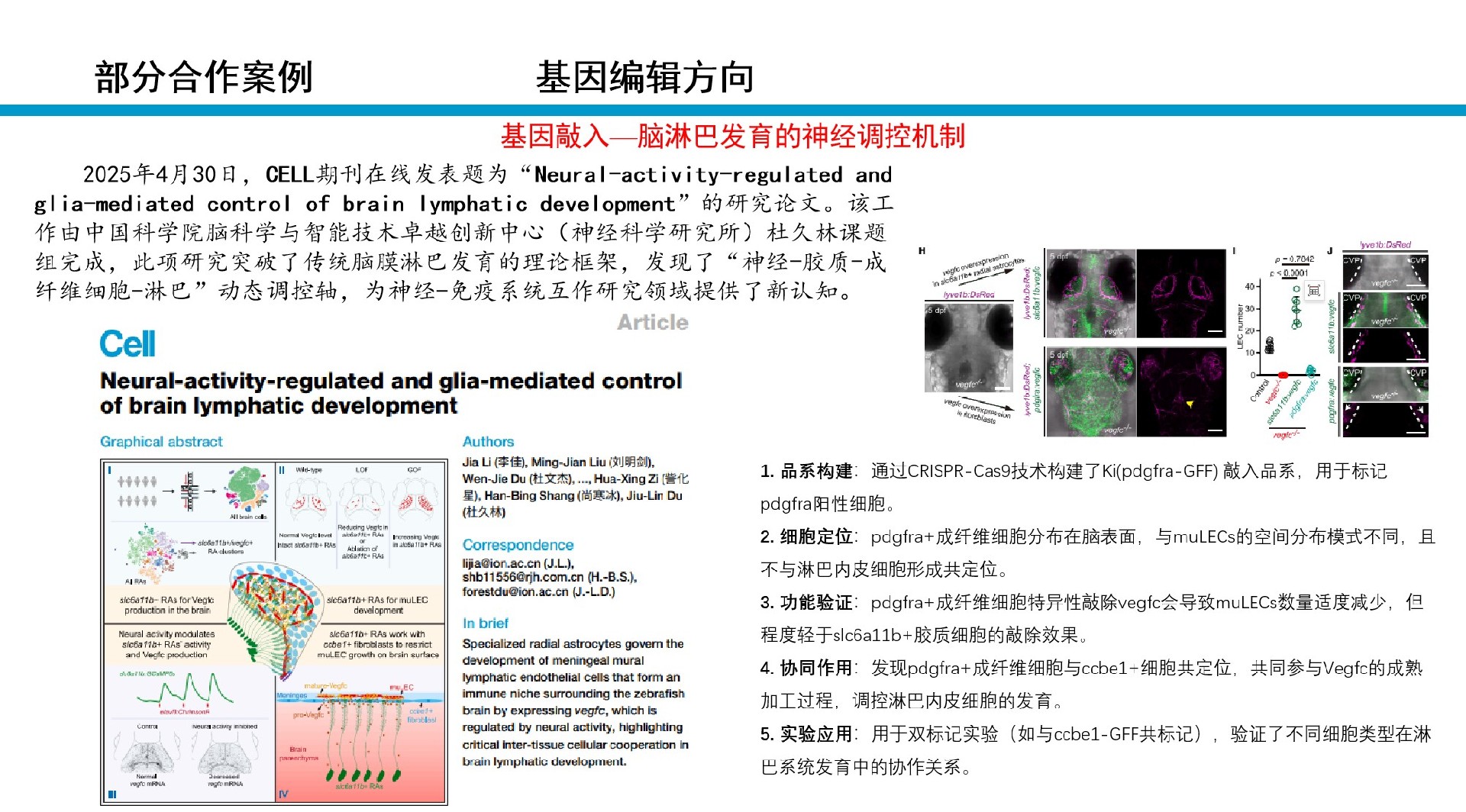 图片31.jpg