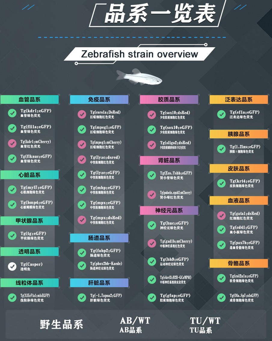 图片33.jpg