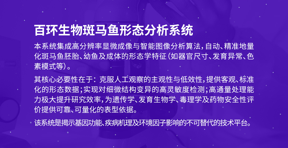 03形态分析_01.jpg