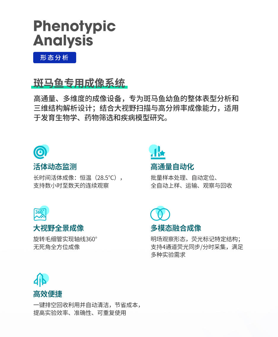 03形态分析_02.jpg