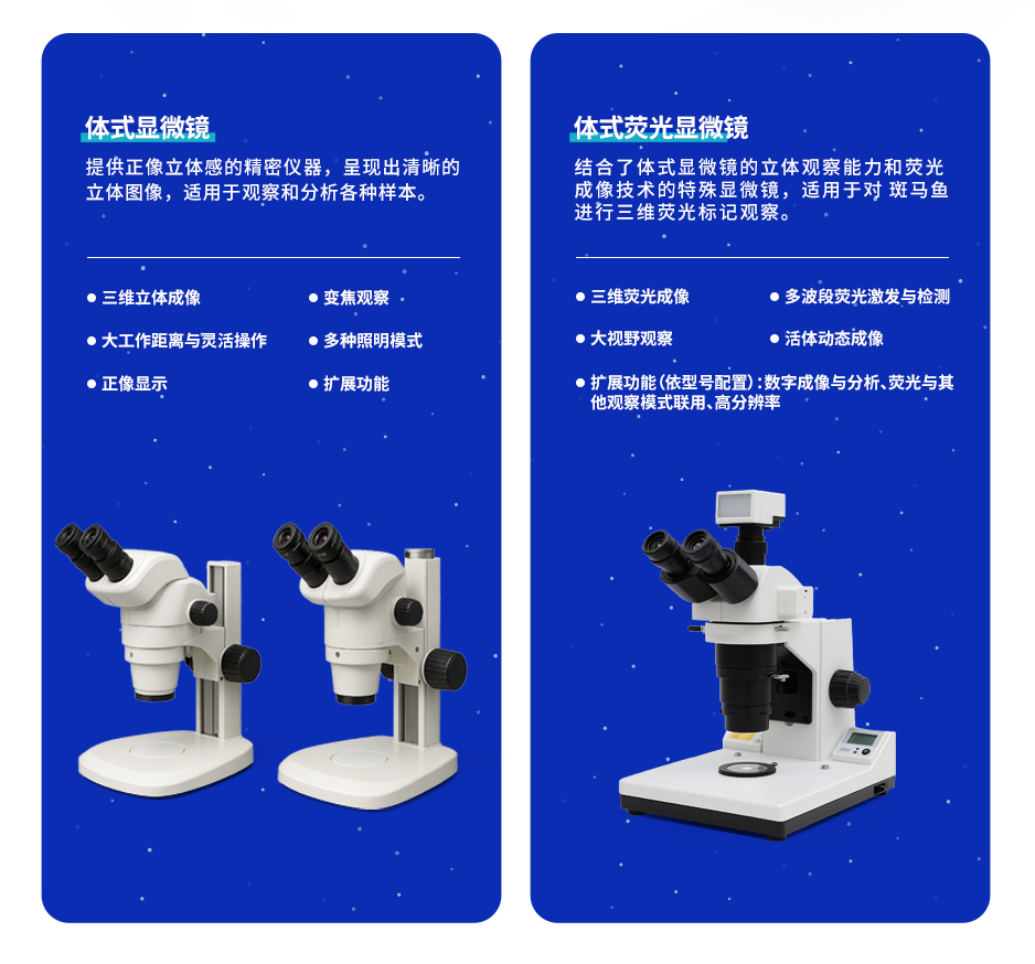 03形态分析_04.jpg