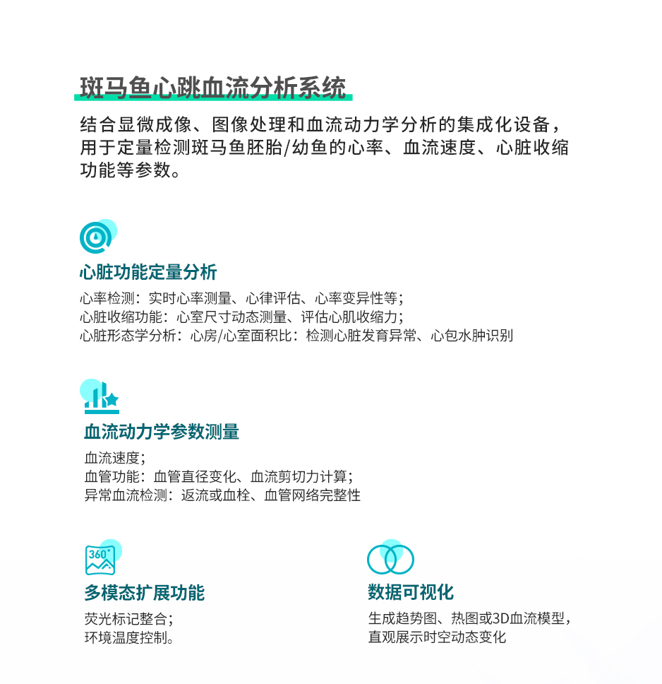 03形态分析_05.jpg