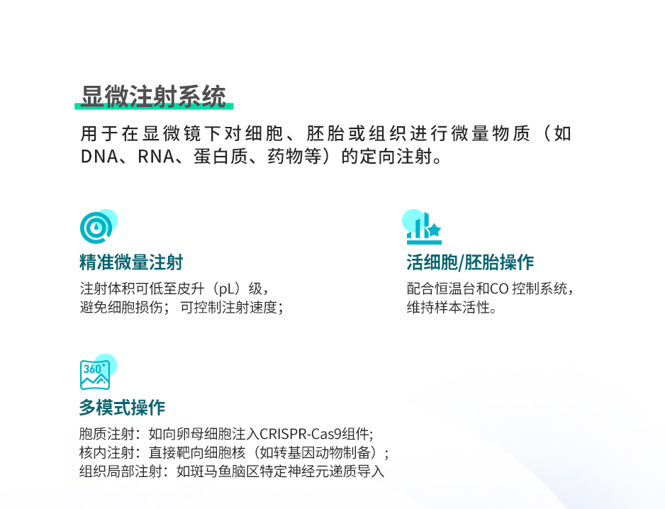 03形态分析_08.jpg